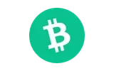 Bitcoin Cash as a payment method at PowerUp Casino